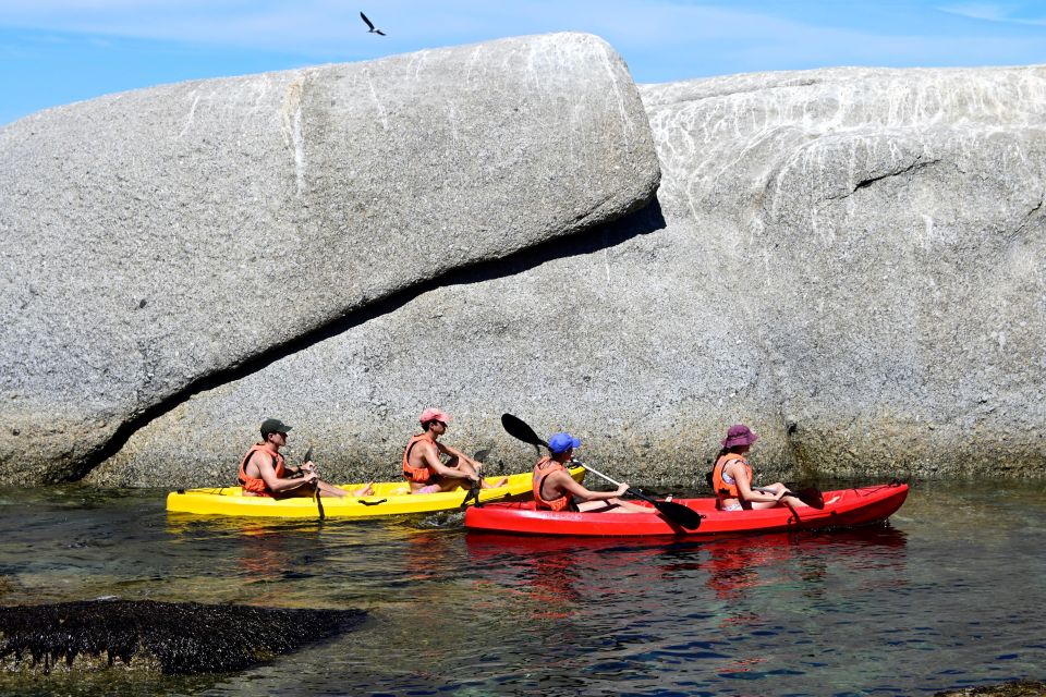 1 cape town guided kayak tour of clifton beaches the coast Cape Town: Guided Kayak Tour of Clifton Beaches & The Coast