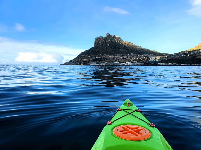1 cape town guided kayaking in hout bay Cape Town: Guided Kayaking in Hout Bay
