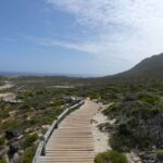 1 cape town guided marine wildlife cruise and cape point tour Cape Town: Guided Marine Wildlife Cruise and Cape Point Tour