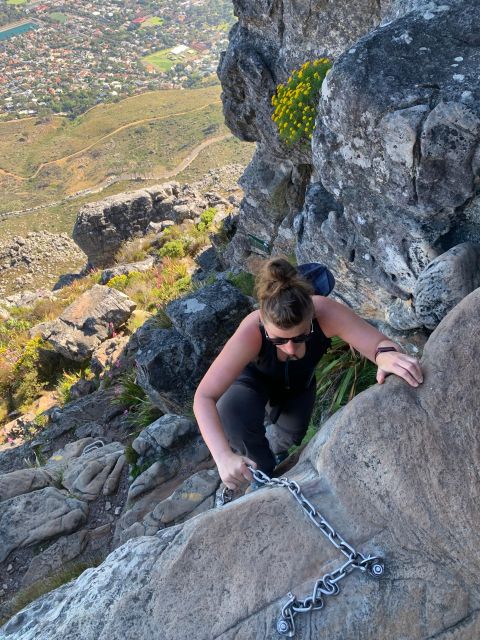 Cape Town: Half-Day India Venster Hike on Table Mountain