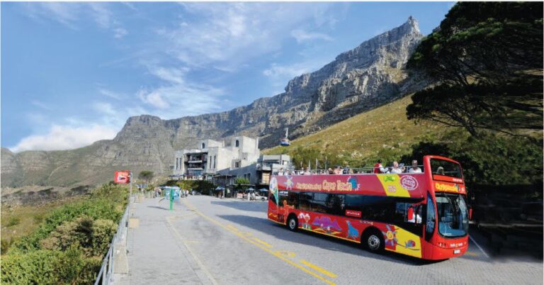 Cape Town: Hop-On Hop-Off Bus Tour With Optional Cruise