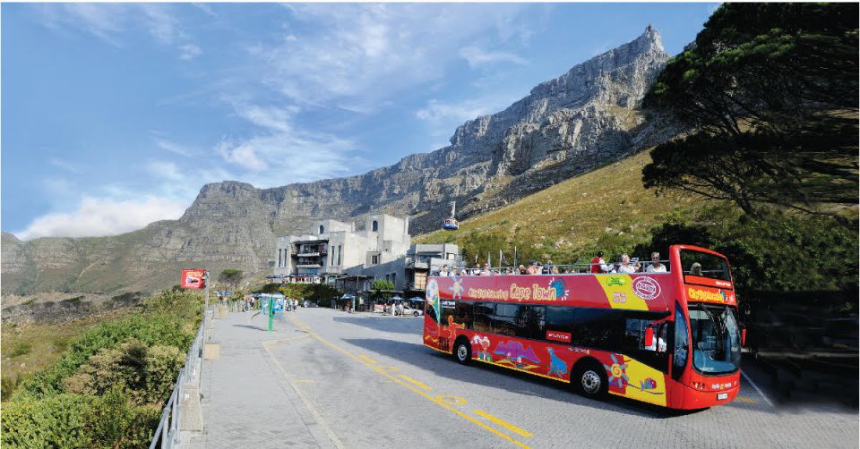 1 cape town hop on hop off bus tour with optional cruise Cape Town: Hop-On Hop-Off Bus Tour With Optional Cruise