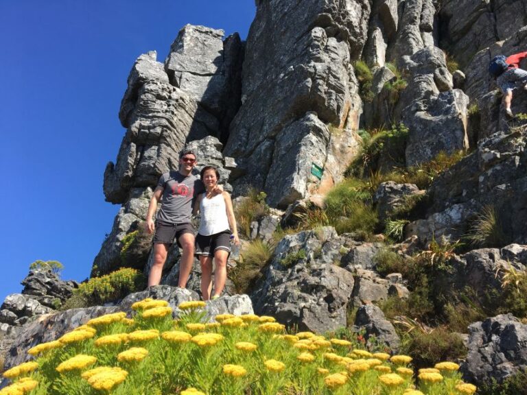 Cape Town: India Venster Half-Day Hike on Table Mountain