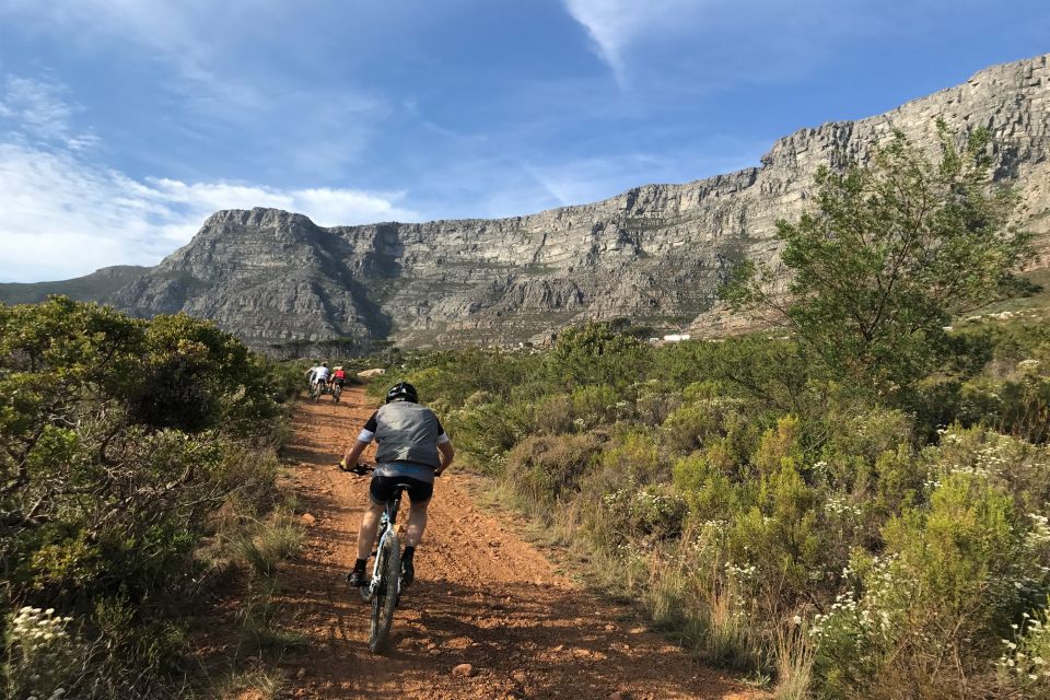 1 cape town mountain biking trip on table mountain Cape Town: Mountain Biking Trip on Table Mountain