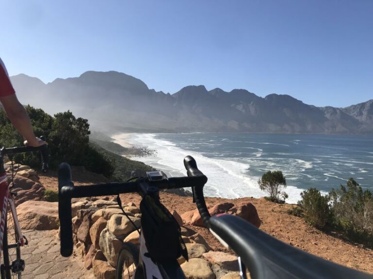 Cape Town: Peninsula Road Bike Tour