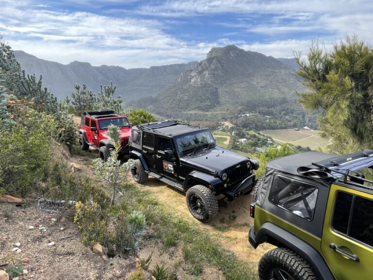 Cape Town: Private Jeep Constantia Wine Tour With Tastings