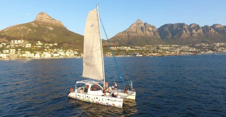 Cape Town: Sunset Cruise by Catamaran to Table Bay