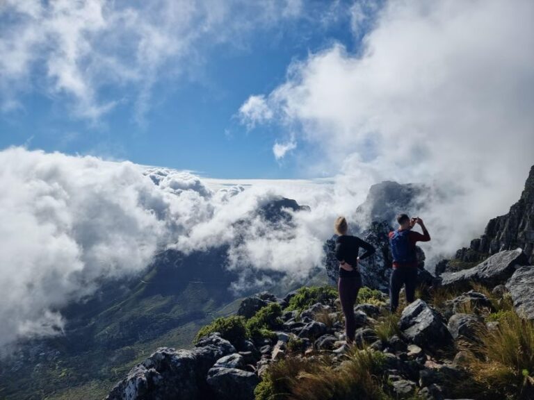 Cape Town: Table Mountain Hike With an Expert Guide