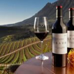 1 cape town wine tour full day Cape Town Wine Tour: Full Day
