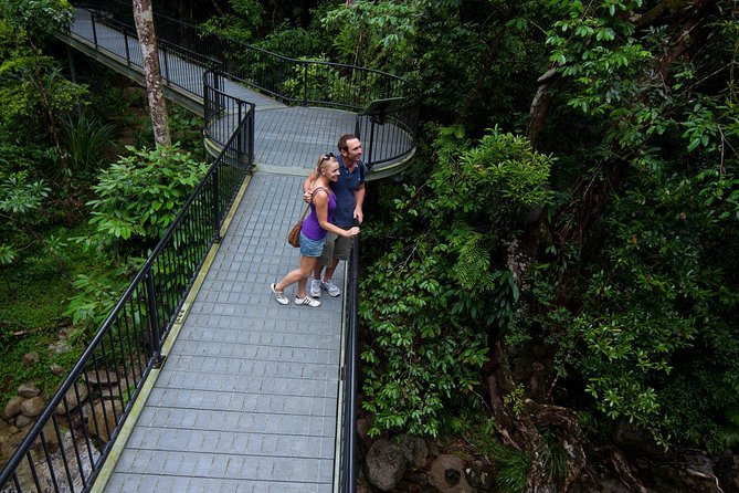 Cape Tribulation, Mossman Gorge and Daintree Rainforest Day Tour - Tour Itinerary Overview