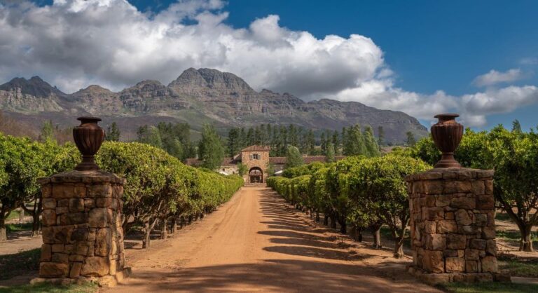 Cape Winelands Private Day Tour – Full Day.