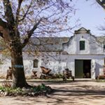 1 cape winelands quad bike and wine cheese tour combo Cape Winelands: Quad Bike and Wine & Cheese Tour Combo