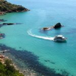 1 cape woolamai sightseeing cruise from san remo Cape Woolamai Sightseeing Cruise From San Remo