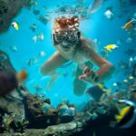 1 catalina island full day snorkeling lunch from punta cana Catalina Island Full-Day Snorkeling Lunch From Punta Cana