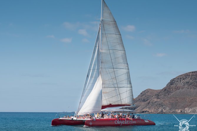 1 catamaran half day cruise from caleta de fuste Catamaran Half-Day Cruise From Caleta De Fuste