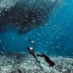 1 cebu scuba diving with sardines and pescador island snorkel Cebu: Scuba Diving With Sardines and Pescador Island Snorkel
