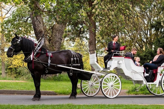 Central Park and NYC Horse Carriage Ride OFFICIAL ( ELITE Private) Since 1970