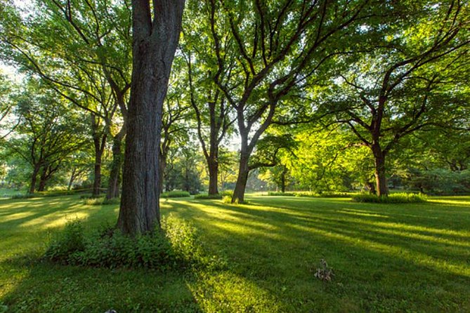 Central Park Walking Tour