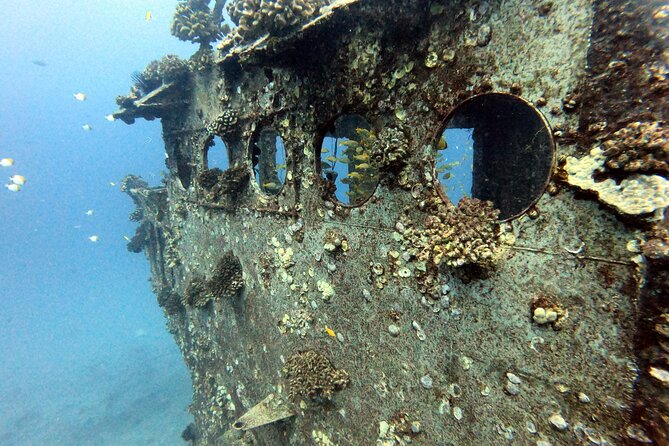 Certified Diver:2-Tank Deep Wreck and Shallow Reef Dives off Oahu