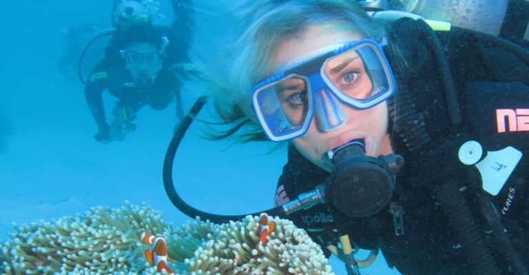 Cesme: Scuba Diving Experience