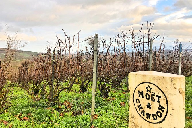 Champagne Area Small-Group Tour Including a Top Champagne House & Family Winery