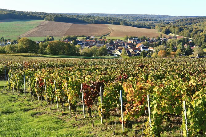 Champagne Guy De Chassey: Traditional Tour & Tasting