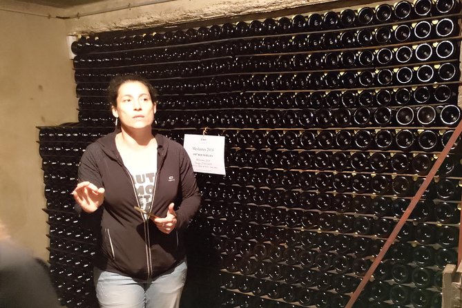 1 champagne lamiable traditional tour tasting Champagne Lamiable: Traditional Tour & Tasting
