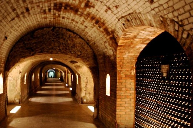 Champagne VIP Day Trip From Paris With Local PRIVATE Wine Expert Guide