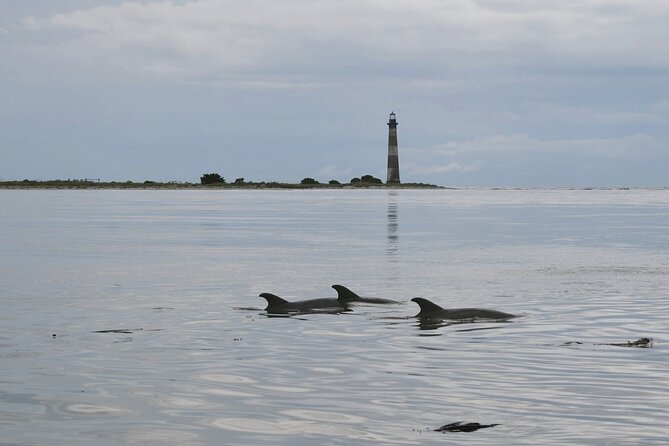Charleston Marsh Eco Boat Cruise With Stop at Morris Island Lighthouse