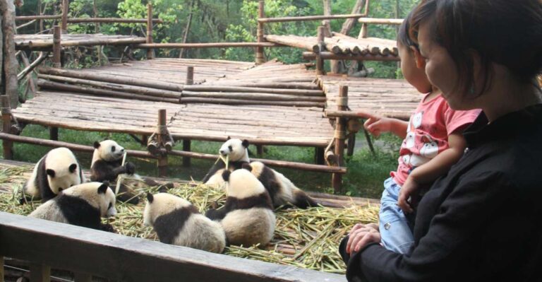 Chengdu: Private Panda Base Tour With 80 Pandas