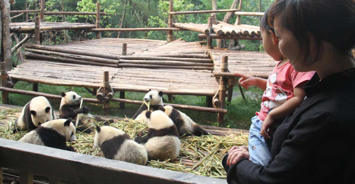Chengdu: Private Panda Base Tour With 80 Pandas - Tour Booking and Cancellation Policy