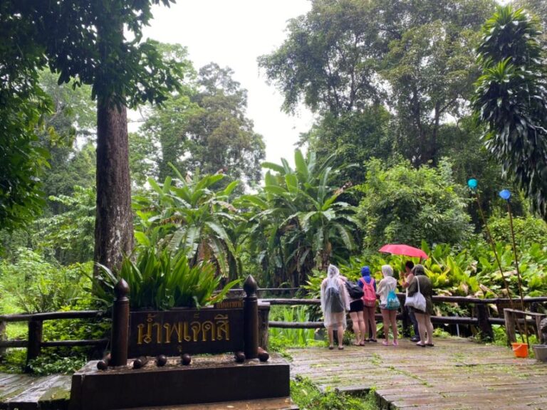 Chiang Mai: Bua Thong Sticky Waterfall Private Half-Day Tour