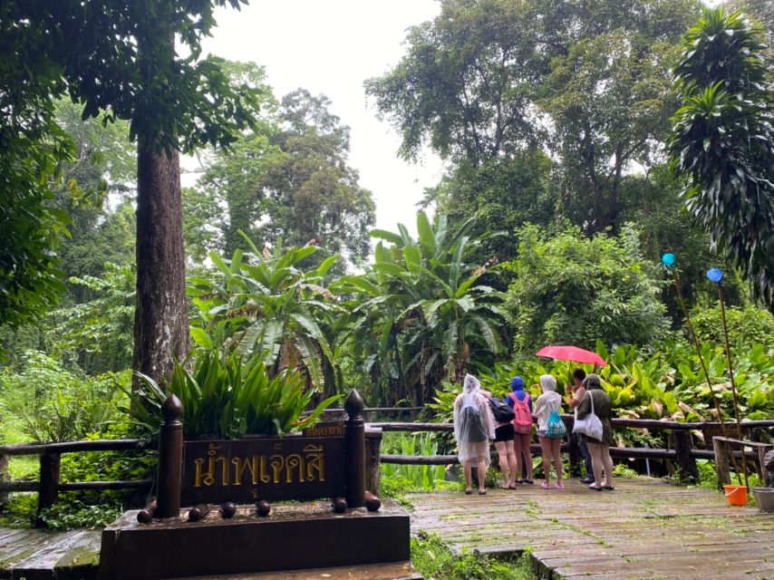 1 chiang mai bua thong sticky waterfall private half day tour Chiang Mai: Bua Thong Sticky Waterfall Private Half-Day Tour