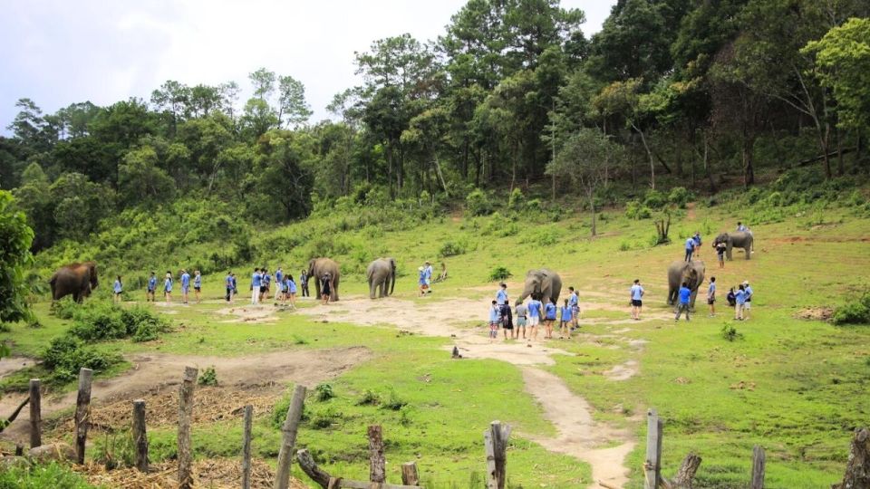 1 chiang mai doi inthanon and elephant sanctuary tour hike Chiang Mai: Doi Inthanon and Elephant Sanctuary Tour & Hike