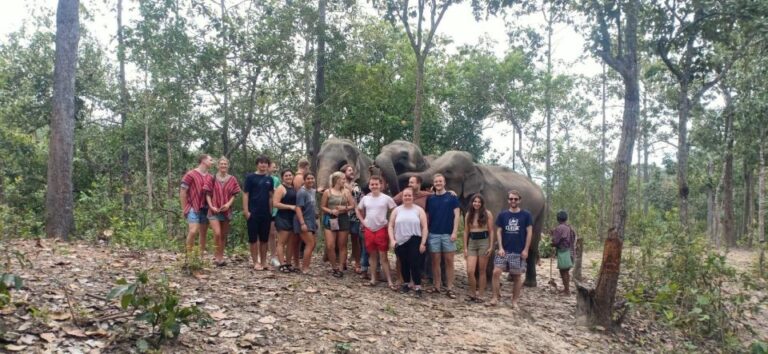 Chiang Mai: Doi Inthanon National Park & Elephants Sanctuary