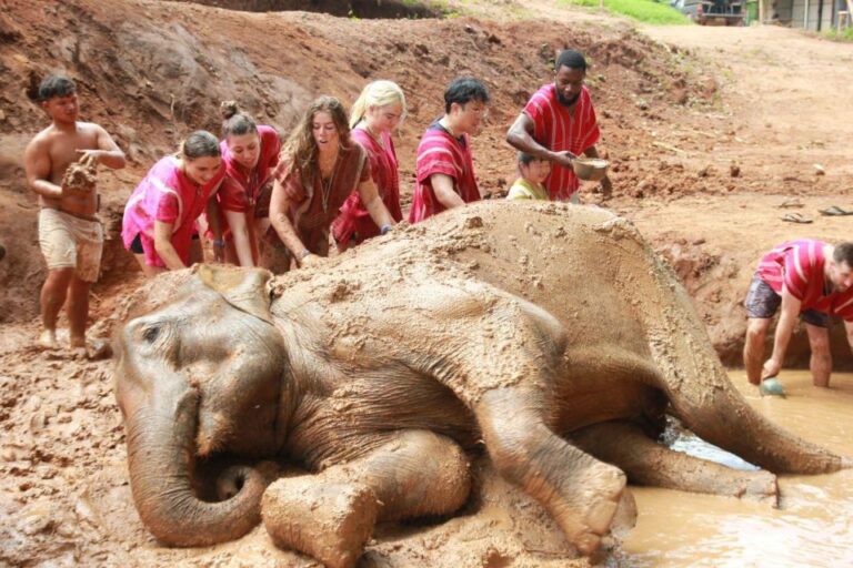 Chiang Mai: Full-Day Kerchor Elephant Eco Park Tour & Trek