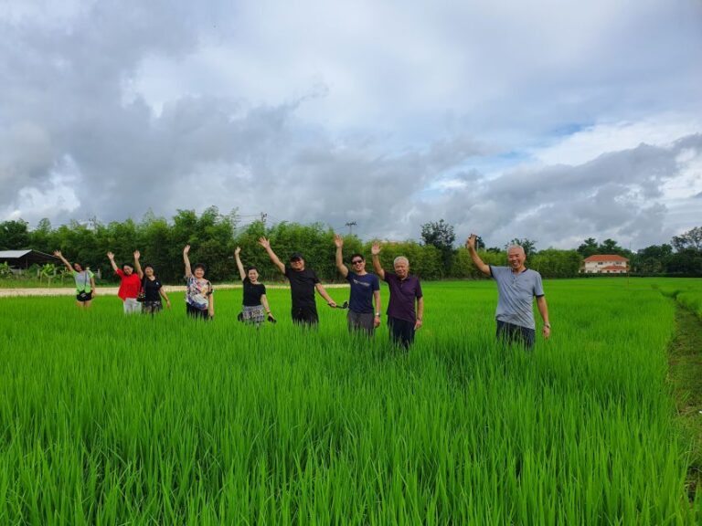 Chiang Mai: Full-Day Yoga & Meditation Experience With Lunch