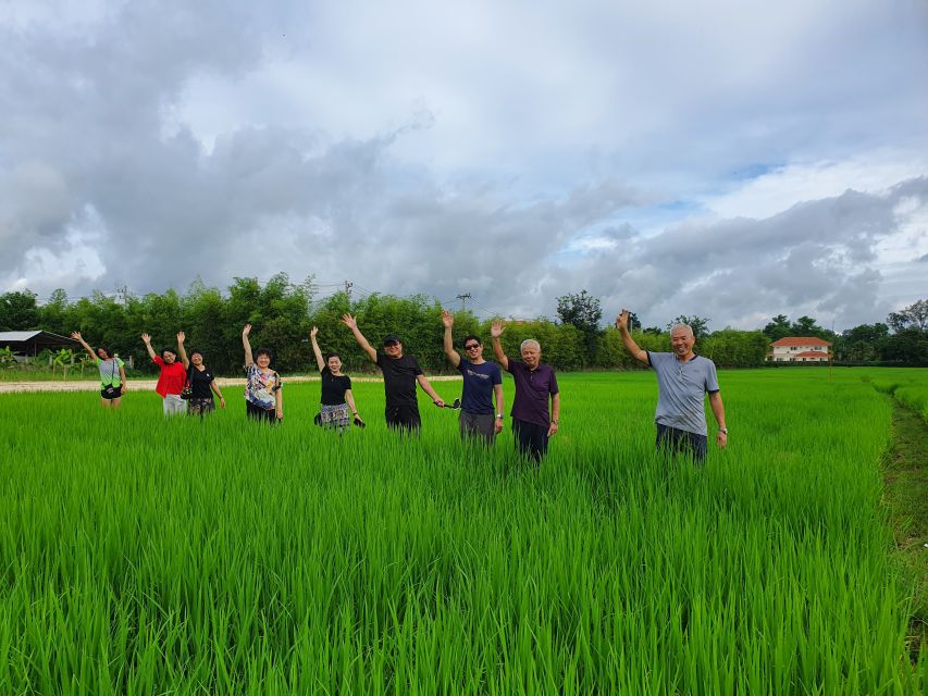 1 chiang mai full day yoga meditation experience with lunch Chiang Mai: Full-Day Yoga & Meditation Experience With Lunch
