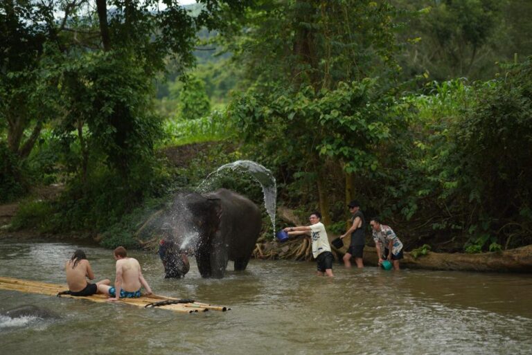 Chiang Mai: National Elephant Care & Rafting/Ziplines Trip