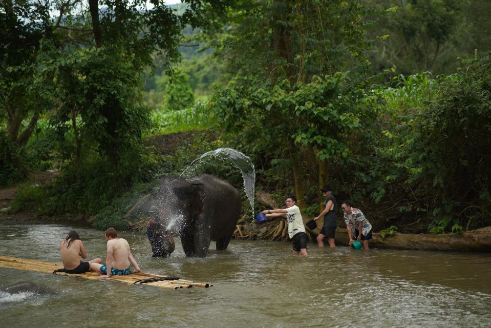 1 chiang mai national elephant care rafting ziplines trip Chiang Mai: National Elephant Care & Rafting/Ziplines Trip