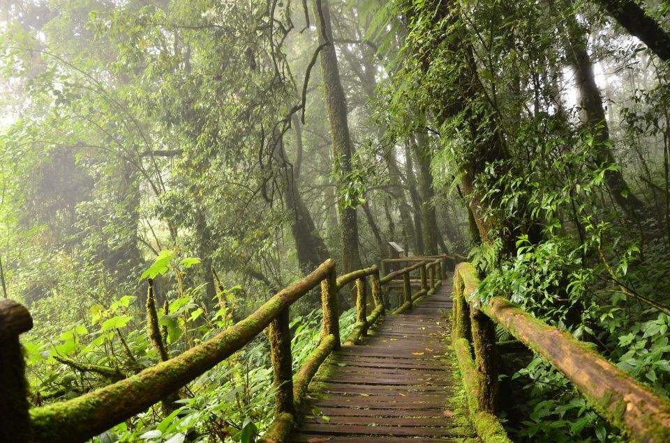 1 chiang mai pha dok siew nature trail doi inthanon trip Chiang Mai: Pha Dok Siew Nature Trail & Doi Inthanon Trip