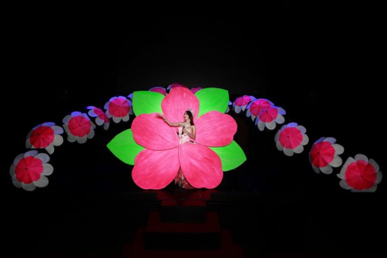 Chiang Mai: Siam Dragon Cabaret Show & Optional Transfer