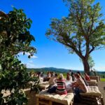 1 chianti half day wine tour from florence Chianti Half Day Wine Tour From Florence