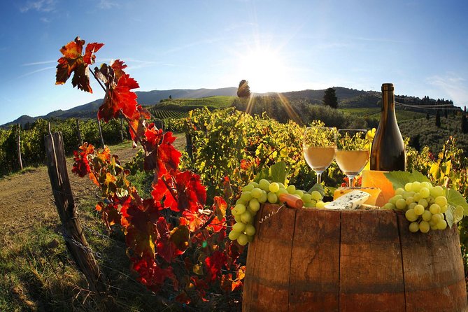 Chianti Half-Day Wine Tour in the Tuscans Hills From Pisa