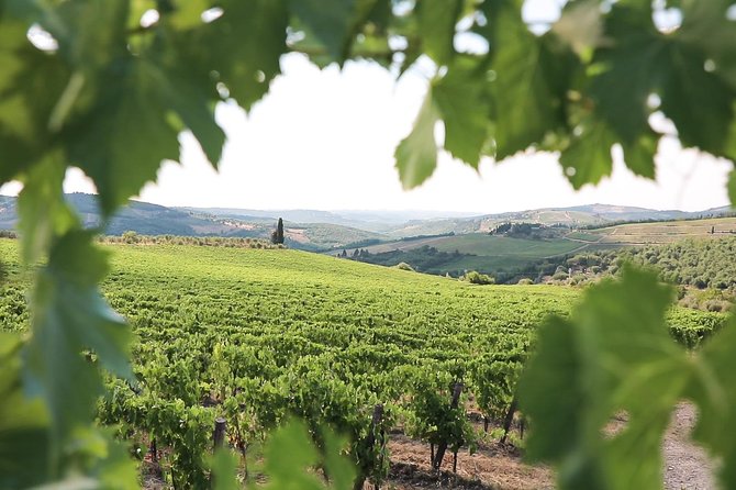 Chianti Wine Tour From Florence