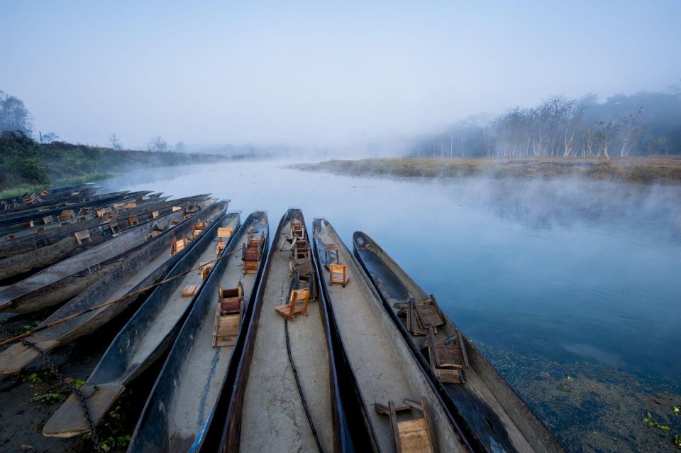 1 chitwan jungle safari with elephant bath exclusive tour Chitwan Jungle Safari With Elephant Bath (Exclusive Tour)