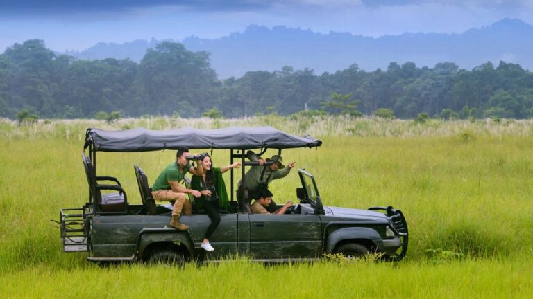 Chitwan Jungle Safari With National Park Tower Night Stay