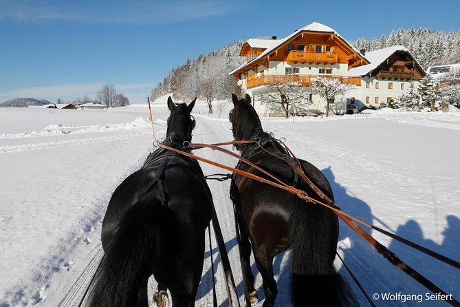 Christmas Horse-Drawn Sleigh Ride From Salzburg