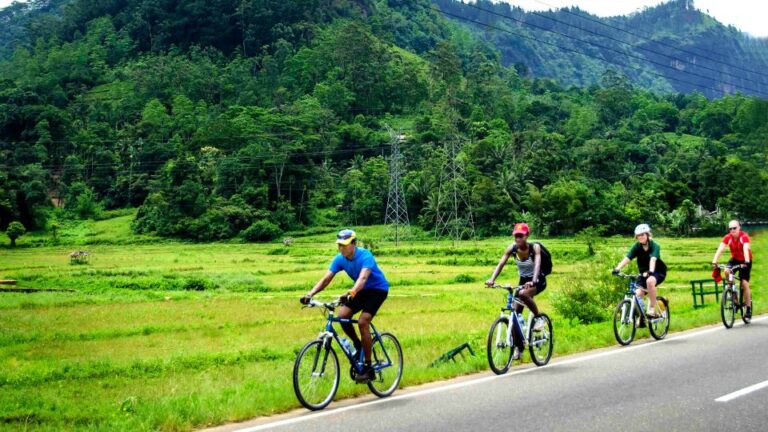 City & Fort Cycling Tour in Galle