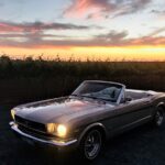 1 classic mustang convertible barossa valley half day private tour for 2 Classic Mustang Convertible Barossa Valley Half Day Private Tour For 2